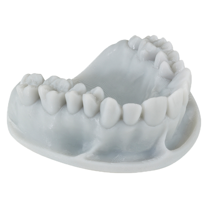 Keystone KeyOrthoModel .5kg