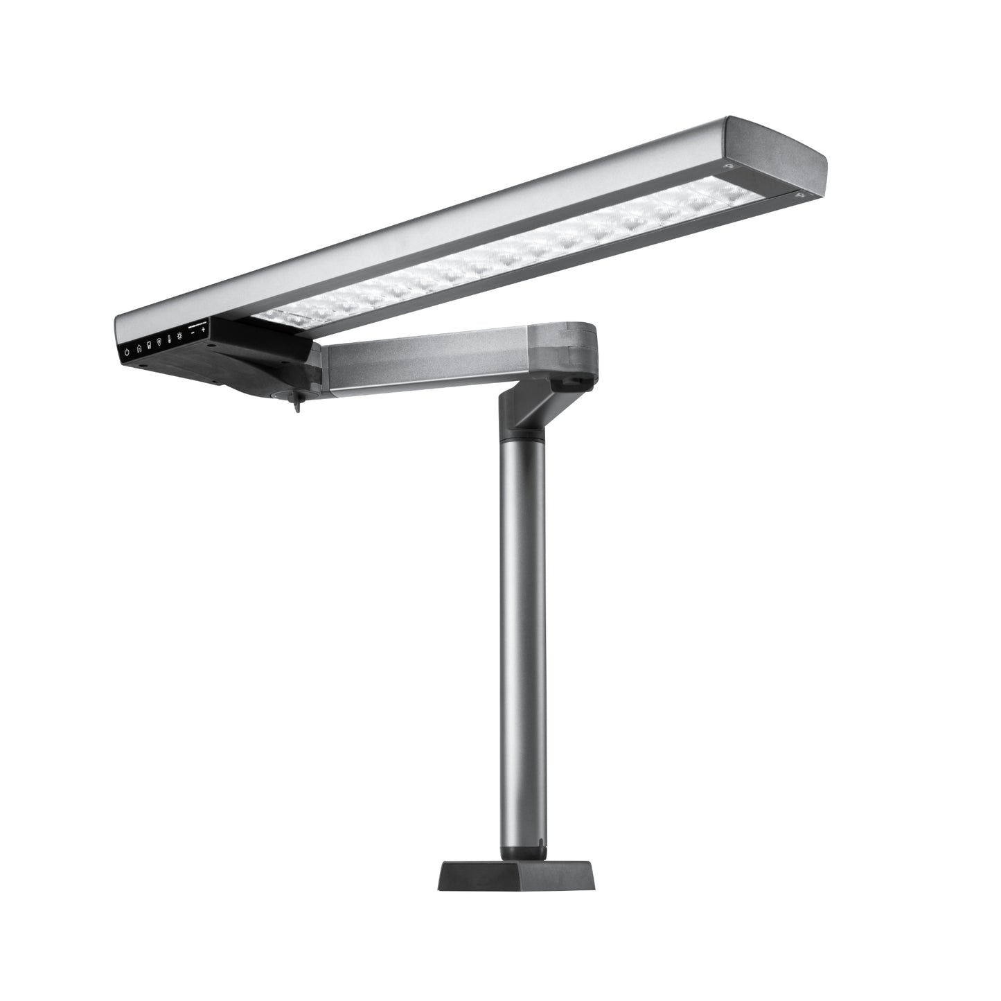 Renfert Light