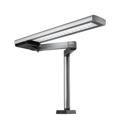 Renfert Light