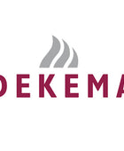 Dekema Heating relay