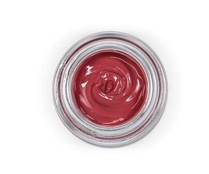 Sagemax Paint 3D Paste- Gingiva Base 2