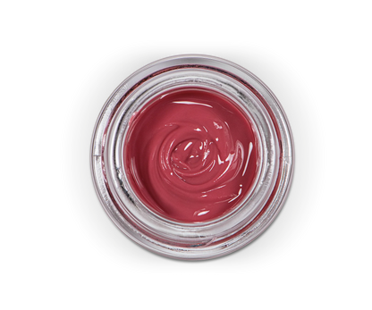Sagemax Paint 3D Paste - Gingiva Base 3