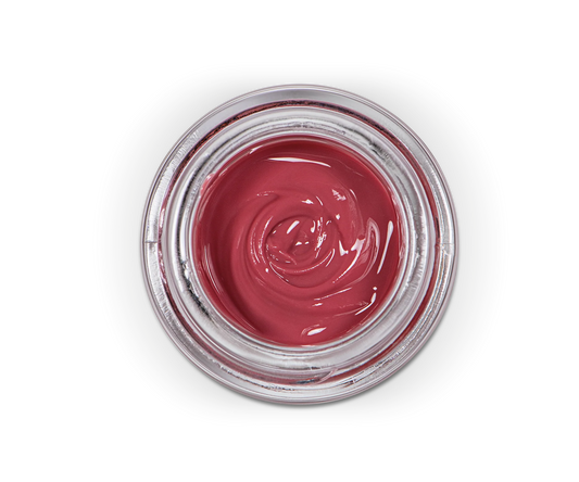 Sagemax Paint 3D Paste - Gingiva Base 3