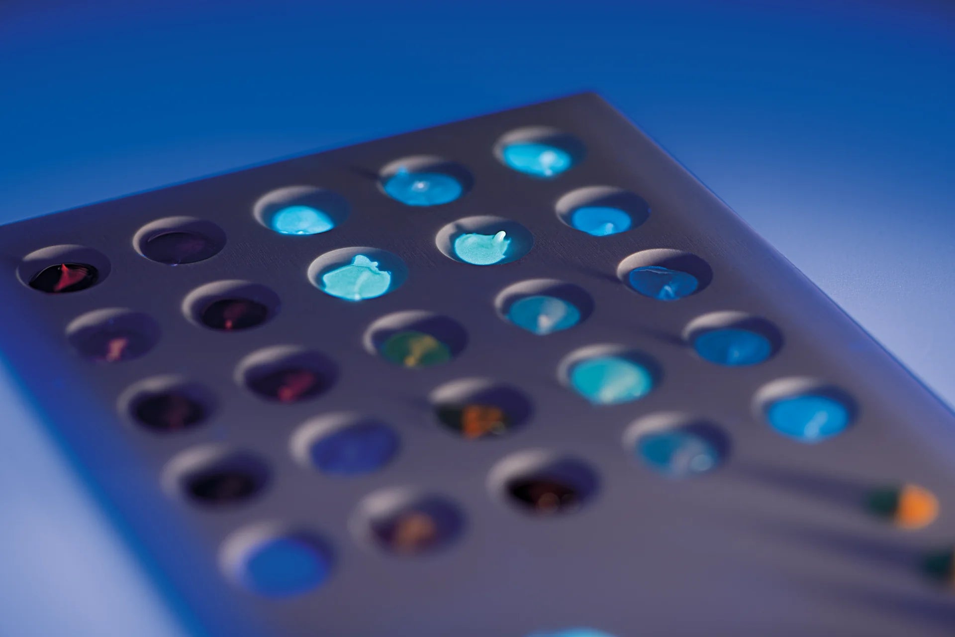 Sagemax Paint 3D Universal Starter Kit