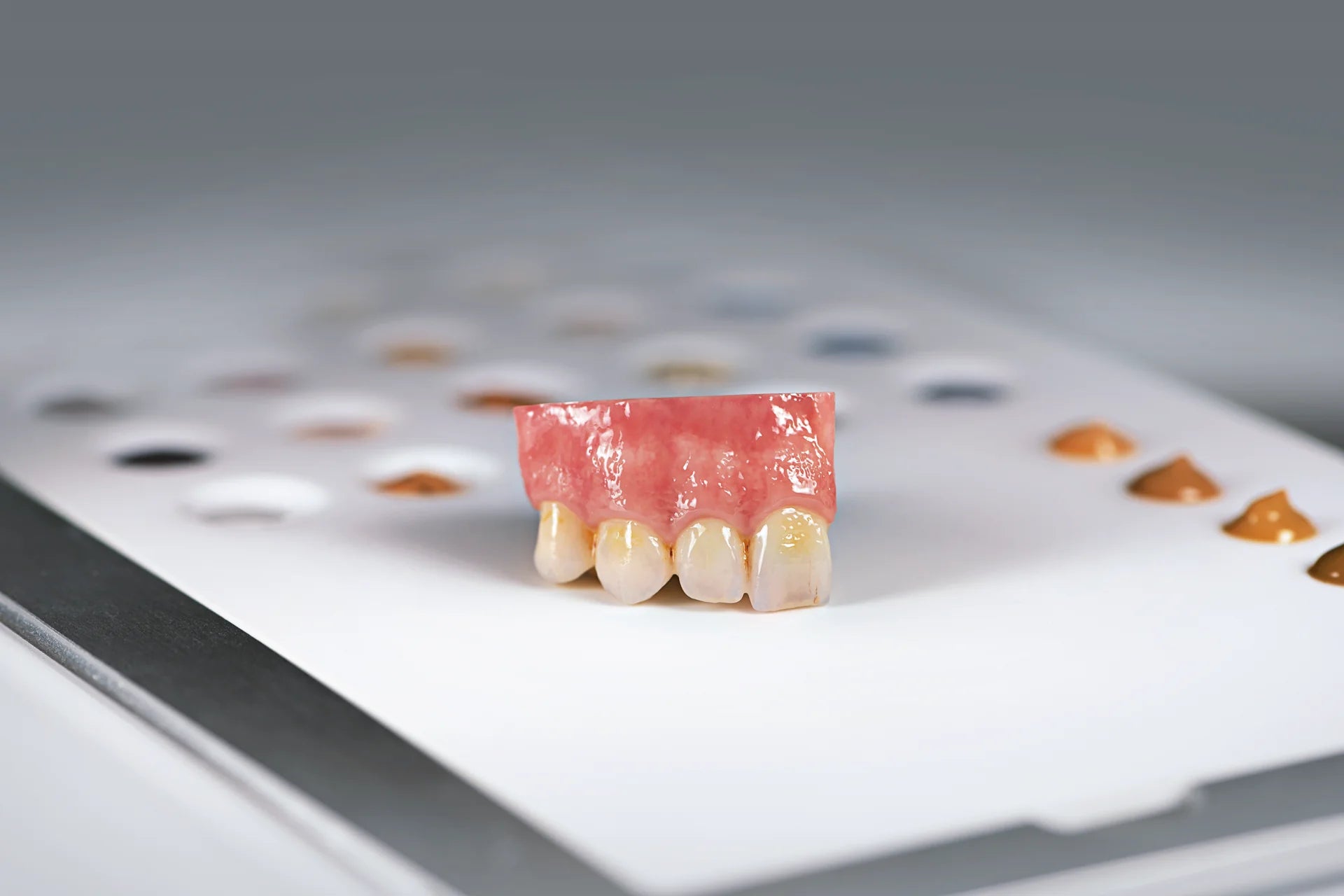 Sagemax Paint 3D Universal Starter Kit