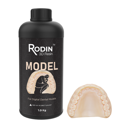 Rodin Model, Tan