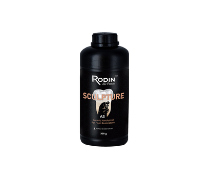 Rodin Sculpture - 300g