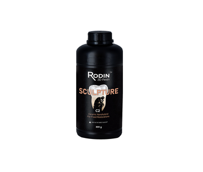 Rodin Sculpture - 300g
