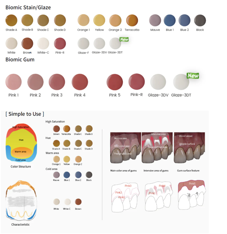Aidite Biomic - Full Gum Kit