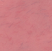 Garreco DNT BASE REPR PINK SC