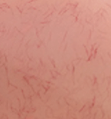 Garreco DNT BASE REPR PINK SC