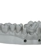 Amann Girrbach NextDent Model 2.0 / Grey for Models